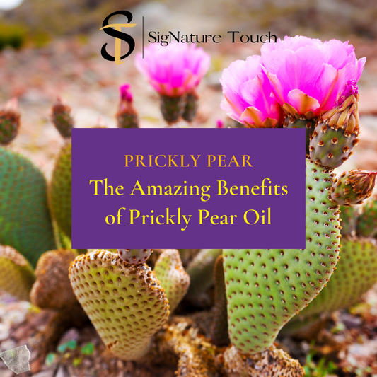 Exploring the Benefits of Prickly Pear Oil for Radiant Skin